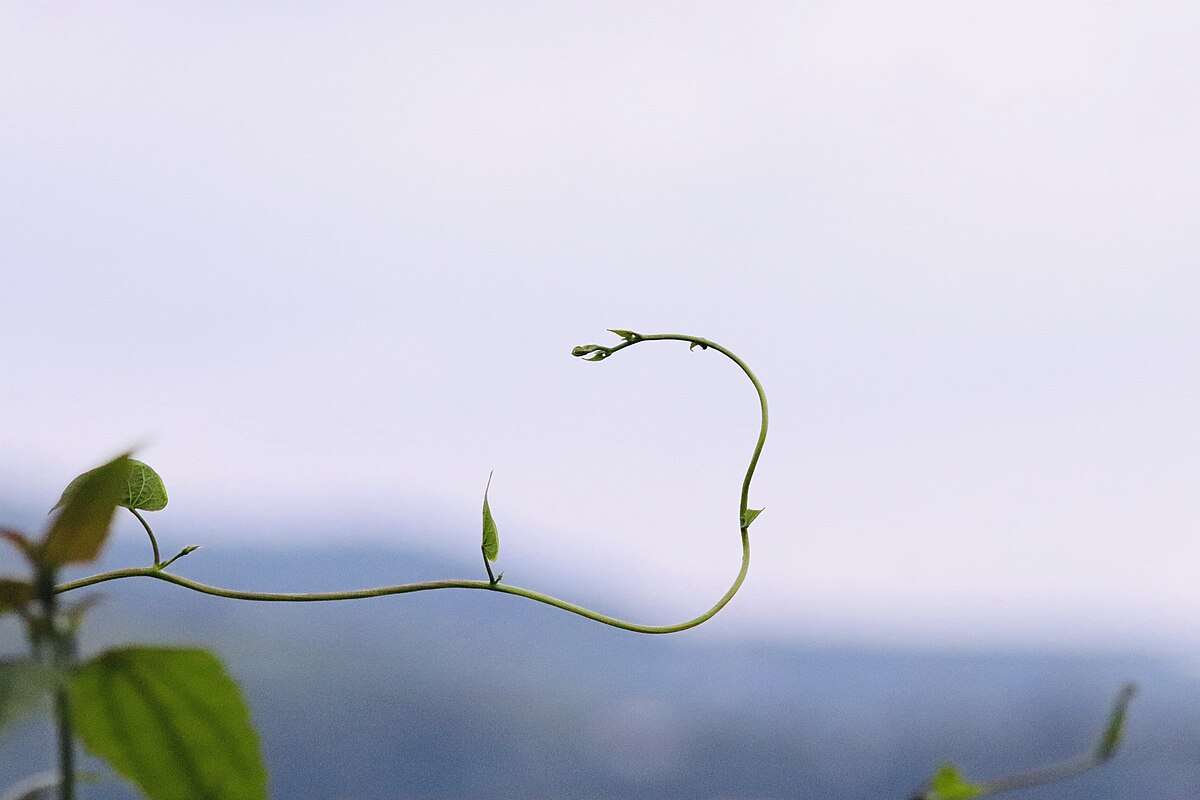 Najveći poklon koji nekome možeš dati je tvoj sopstveni RAST i RAZVOJ.